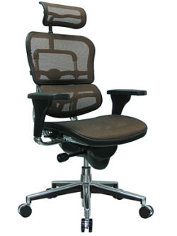 EUROTECH- ERGOHUMAN Excectuive Mesh Chair with Headrest
