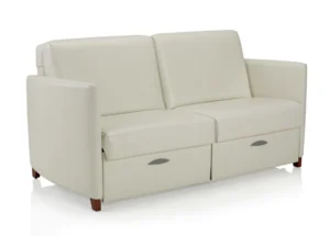 Affina Loveseat Sleeper