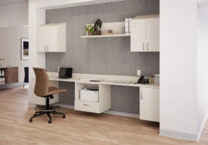 Forge Casework With Vision Shelf and Proxy Swivel