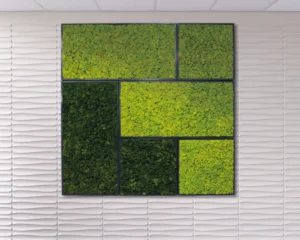 Frames for Biomontages