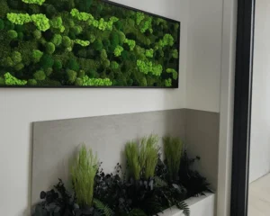 Planters that have been preserved