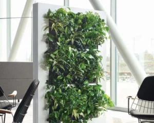 Living Walls and Frames from Livesystem